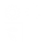 seasonal category icon